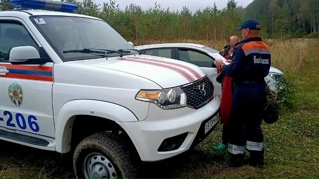 Спасатели вывели из леса троих заблудившихся в Коломне