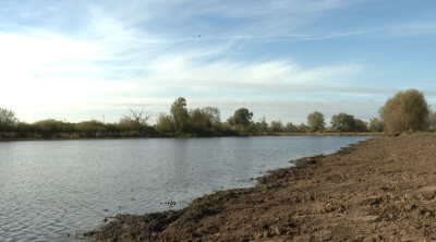 Губернаторская программа "100 прудов и озёр" реализуется уже несколько лет