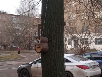 В Егорьевске открыли необычное кафе для пернатых гостей 