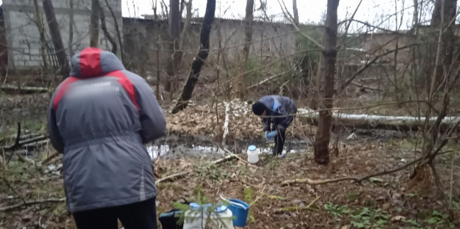 Лесное "болото" обошлось егорьевскому предприятию в четверть миллиона 