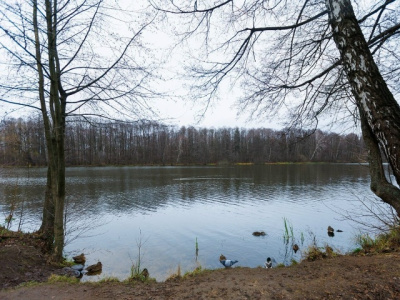 Два коломенских пруда вышли в финал голосования на портале "Добродел"