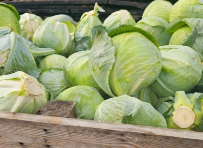 Коломенские аграрии подводят итоги прошедшего сезона