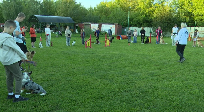 Очередная смена "Юных кинологов" готовится к выпускному экзамену