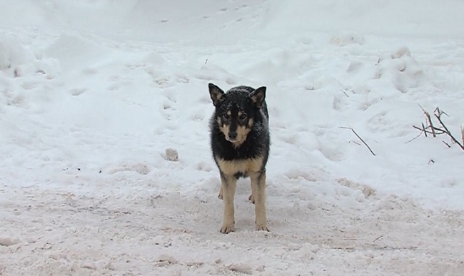 Маленький поступок может спасти жизнь 