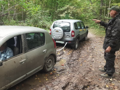 Лесничие из Егорьевска пришли на помощь автомобилисту, который застрял в лесу