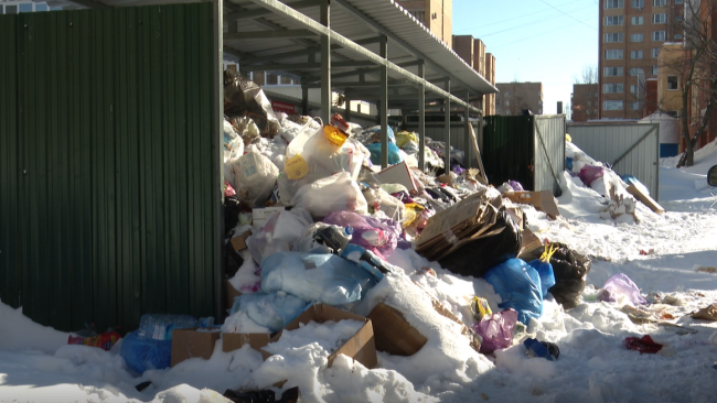 Проблема с вывозом твёрдых бытовых отходов существует в нашем городском округе давно