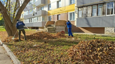 Сотрудники ДГХ ежедневно вывозят с коломенских дворов около ста кубометров листвы