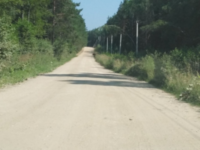 На дороге в пригороде Егорьевска заметили Лосёнка