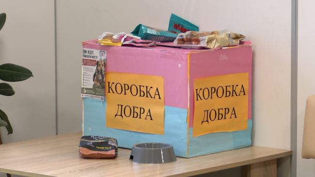 В Коломне собирают гуманитарную помощь для животных
