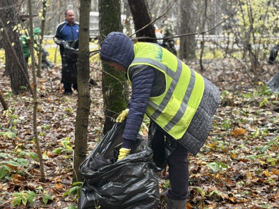 В Воскресенске прошла экологическая акция "Чистое Подмосковье"