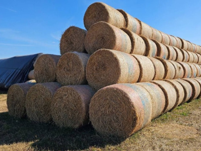 Озёрские аграрии завершили осеннюю подготовку грубых кормов 