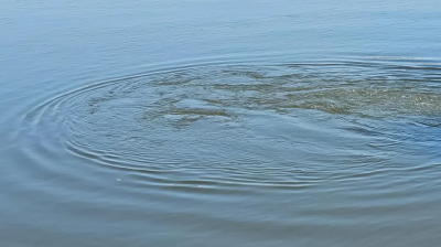 В округе Луховицы обнаружен труп мужчины, пропавшего в декабре