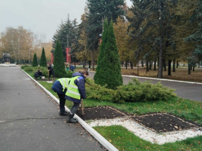 В Коломне высаживают луковицы тюльпанов 