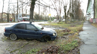 Брошены на улицах Коломны