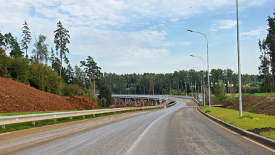 У лосей начался брачный период