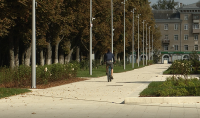 Каштановую аллею теперь не узнать