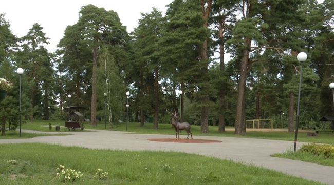 К празднованию 100-летнего юбилея Озёр приурочена масса интересных событий