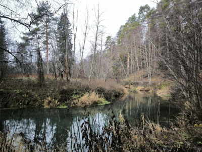 Два коломенских пруда победили в голосовании на портале "Добродел"