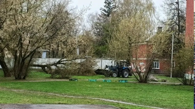 Поваленные ветром деревья убирают на улицах Коломны