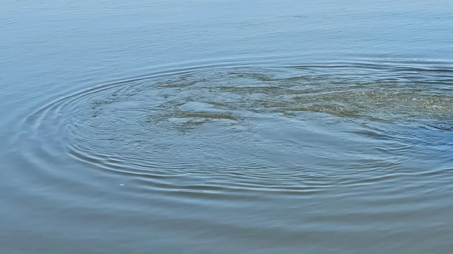 В округе Луховицы обнаружен труп мужчины, пропавшего в декабре