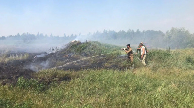 Лесной пожар зафиксировали в Подмосковье