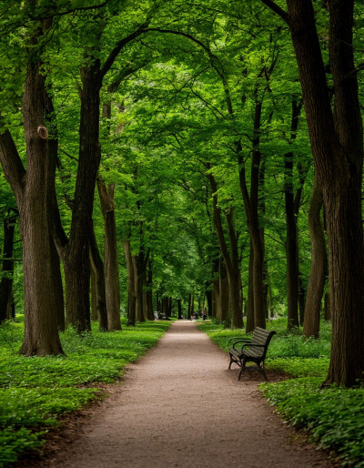 Жители посёлка Хорлово жалуются на бобров, разрушающих деревья