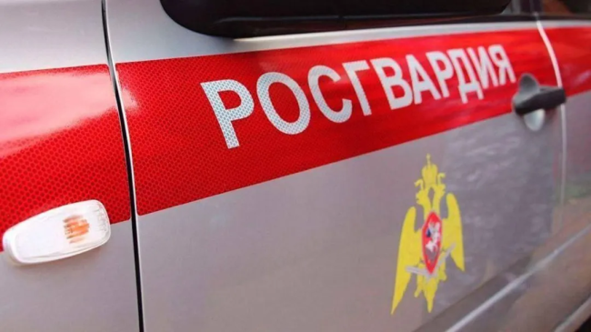 Росгвардия задержала подозреваемого в избиении женщины в Воскресенске