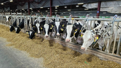 Итоги сельскохозяйственного сезона подвели в "ОСП агро"