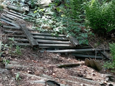 В Коломне взыскивают ущерб от незаконных свалок