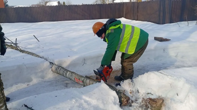 Мособллес обеспечивает безопасность в лесах Егорьевска