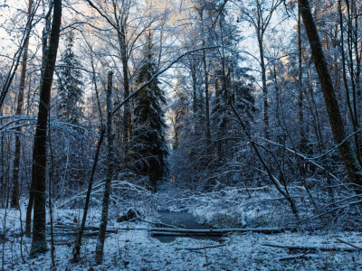 Ночные температуры в Подмосковье достигли минимума 