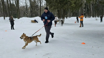 Фестиваль-конкурс "Гав фест" прошёл в Коломне