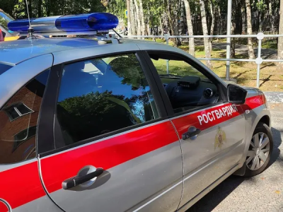 В Коломне росгвардейцы задержали мужчину, угрожавшего ножом гражданам