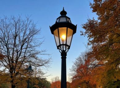 Сквер "Сокольники" оборудуют новым освещением