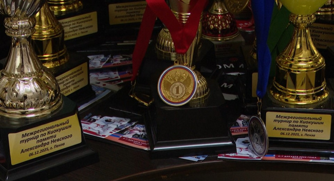 17 медалей у коломенских спортсменов