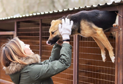 Волонтёры «ВМУ» оказали поддержку приюту для животных в Белоозёрском