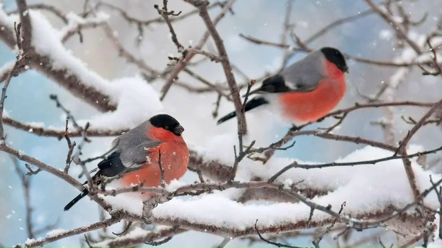 Весна скоро придёт в Подмосковье
