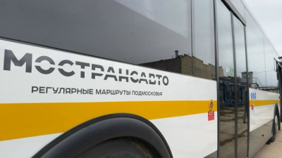 Как правильно транспортировать ели, сосны и пихты в автобусах?