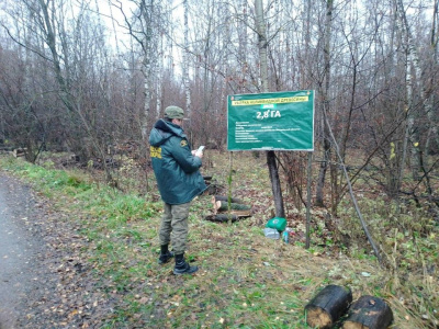 Маливское лесничество чистит лес