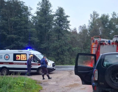 Свыше 900 фактов пропажи людей в лесу зарегистрировано в Подмосковье с начала года