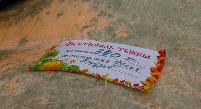 Эко-фестиваль "Мякоть" провели в Луховицах