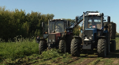 В Коломне продолжается уборка урожая