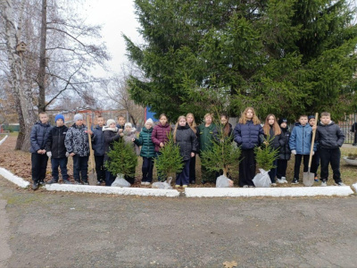 Школьники высадили целую аллею деревьев на территории школы