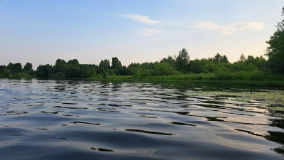 Роспотребнадзор проверит подготовку пляжей перед купальным сезоном