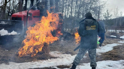 В Луховицах отработали совместные действия по тушению лесных пожаров