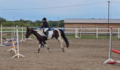 Соревнования по конкуру прошли в Луховицах