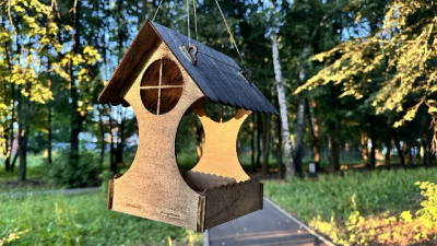 Установку искусственных гнездовий для птиц начали в лесах Подмосковья