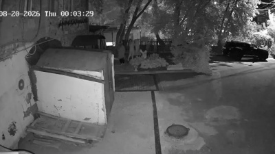 Похитителей цветочных горшков из музея "Арткоммуналка" разыскивают в Коломне