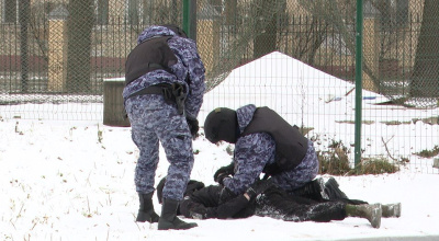 Обнаружили, обезвредили, устранили