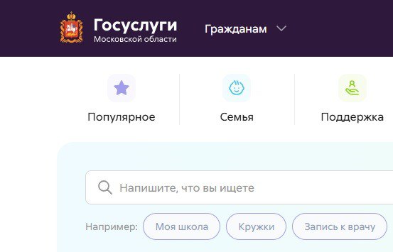 Замену паспорта в виде QR-кода готовят для жителей Подмосковья